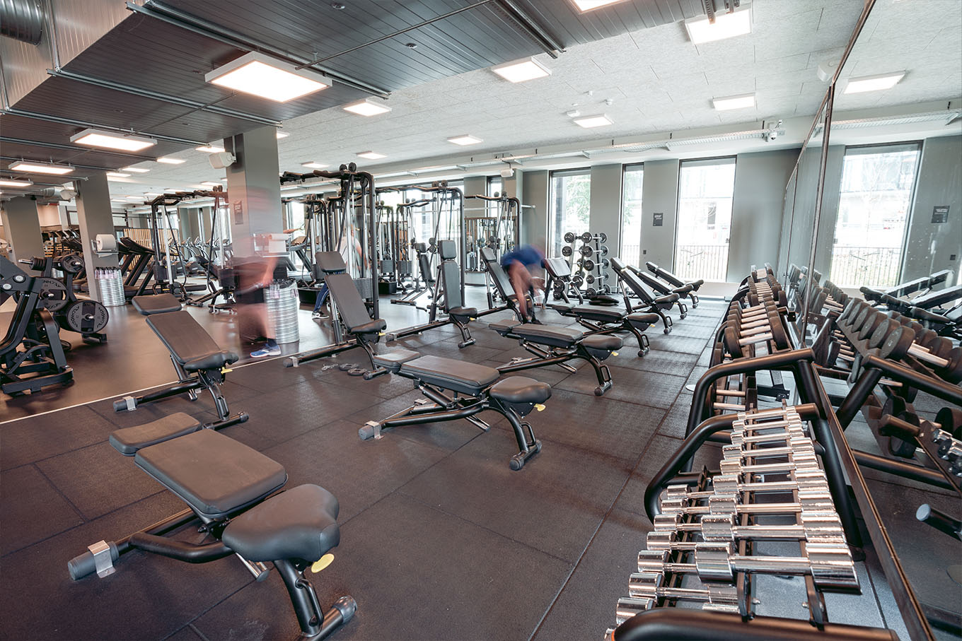 græs aluminium tæt Fitness og styrketræning i Lyngby | Fitness World
